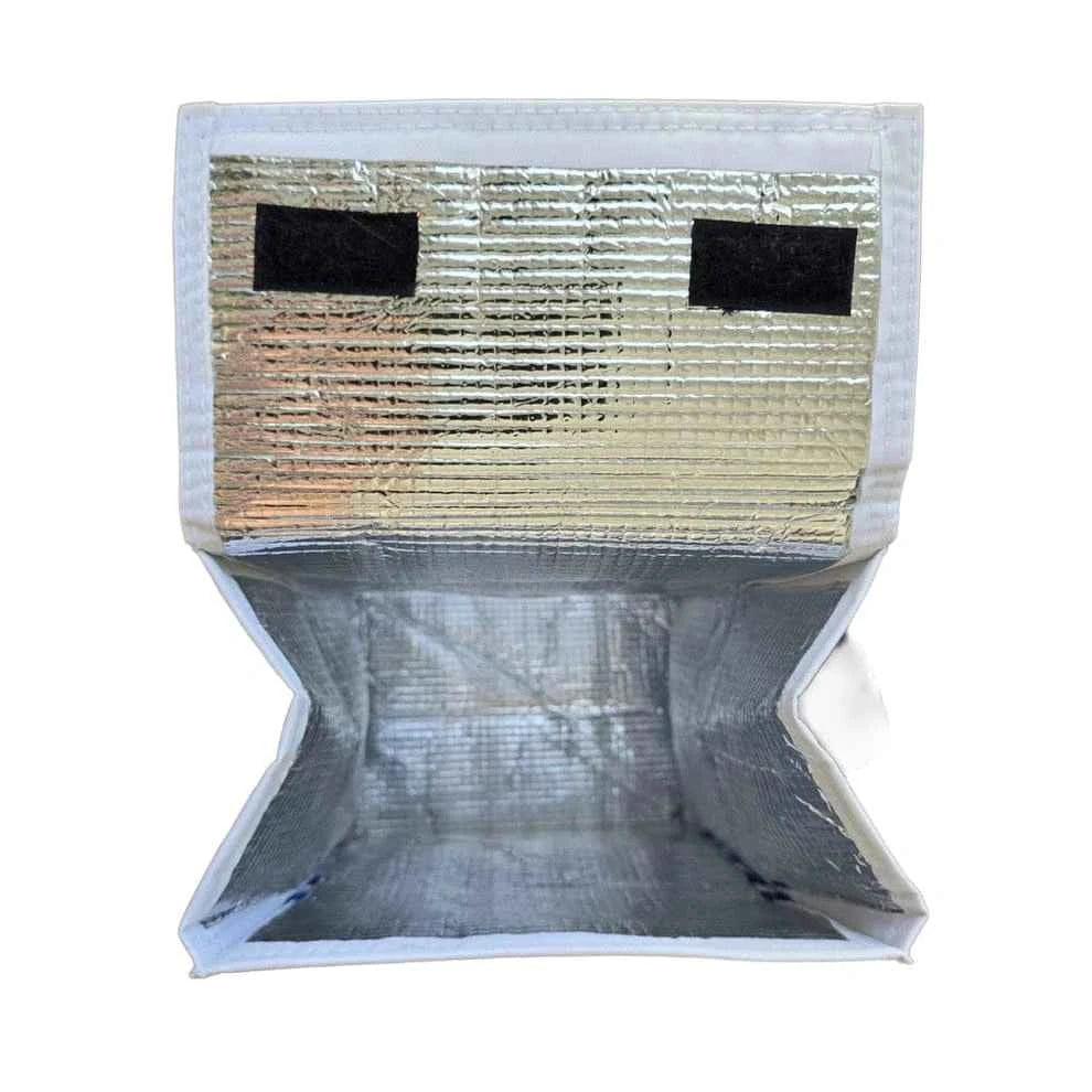 Reusable Insulated Lunch Bag for Travel and Work
