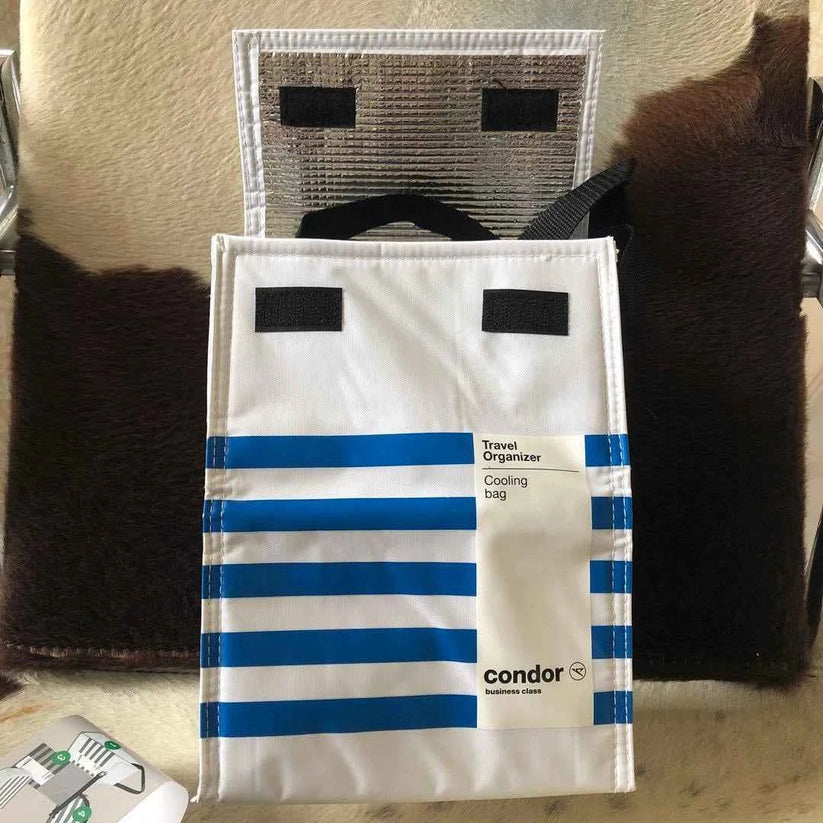 Reusable Insulated Lunch Bag for Travel and Work